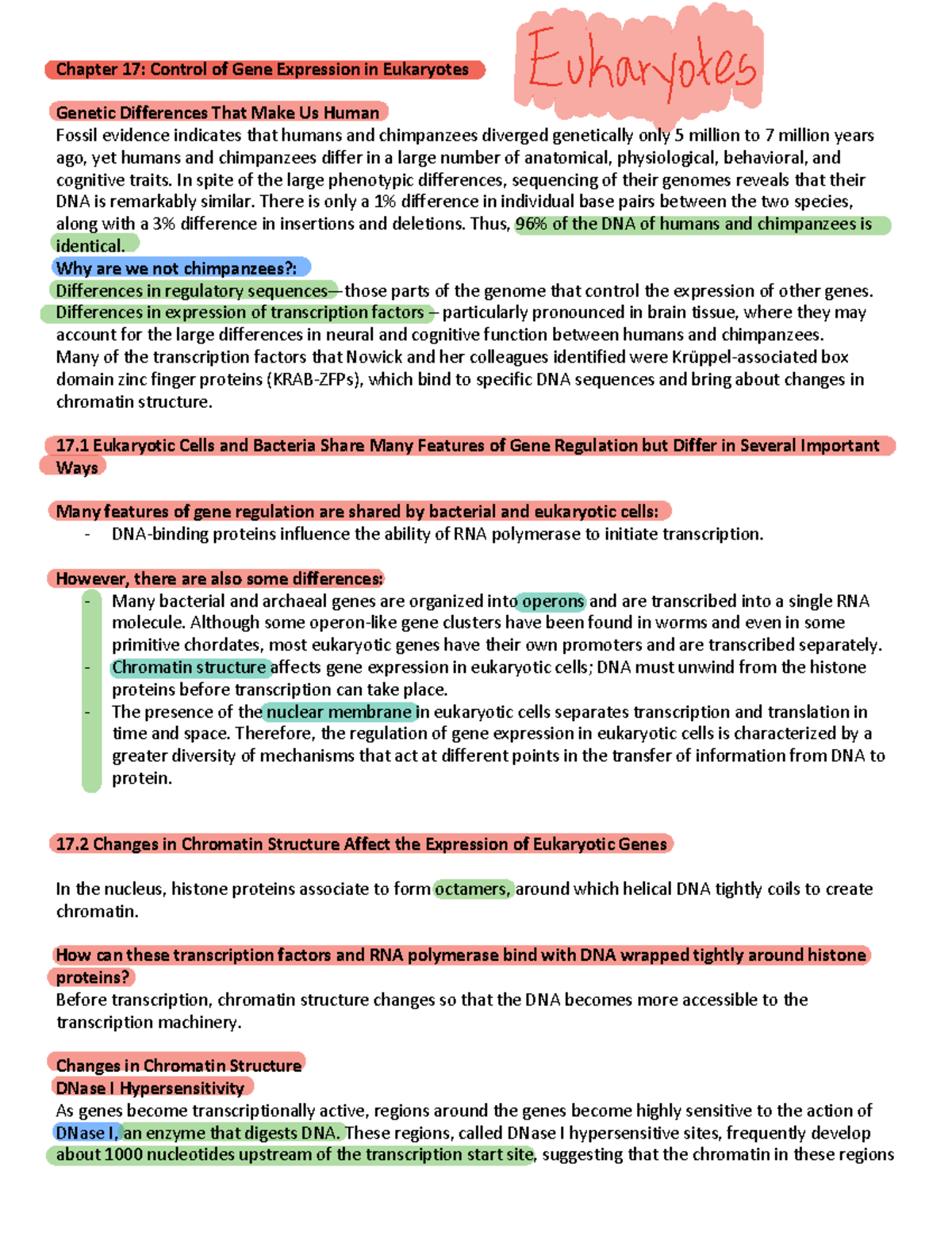 Chapter 17 Notes - Chapter 17: Control of Gene Expression in Eukaryotes ...