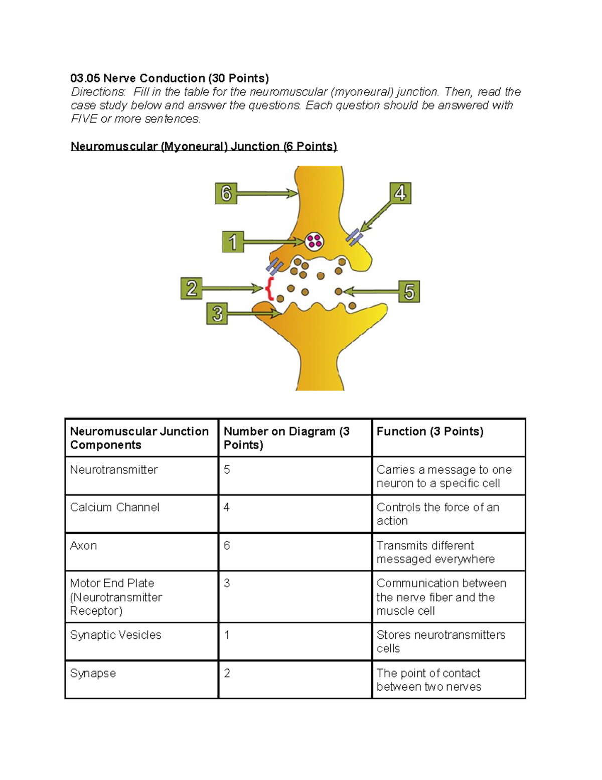 3 - 3.05 - 03 Nerve Conduction (30 Points) Directions: Fill in the ...