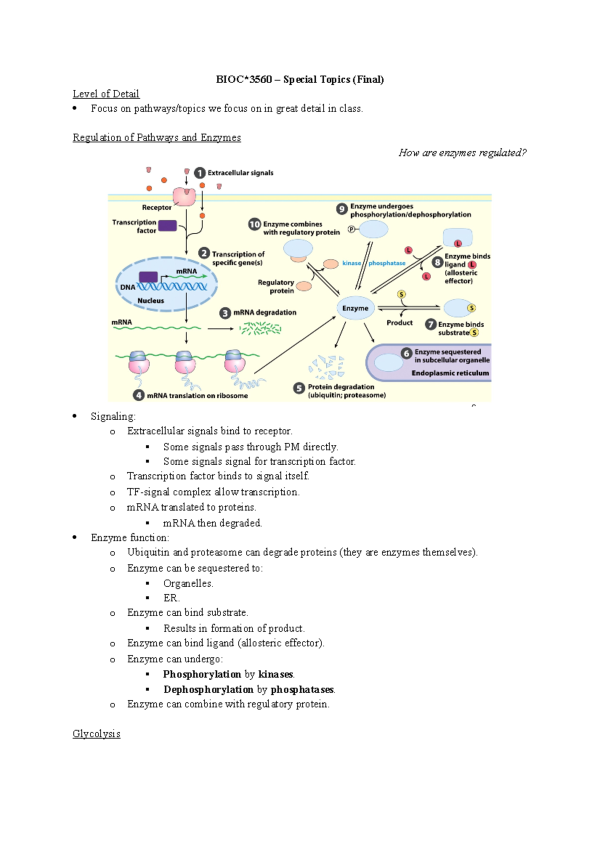 BIOC 3560 - Special Topics (Pt. 1) - BIOC*3560 – Special Topics (Final ...