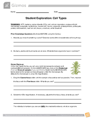 Answers- Gizmo Tides SE - Name: Ryan Sareen Date: 1/13/ Student ...