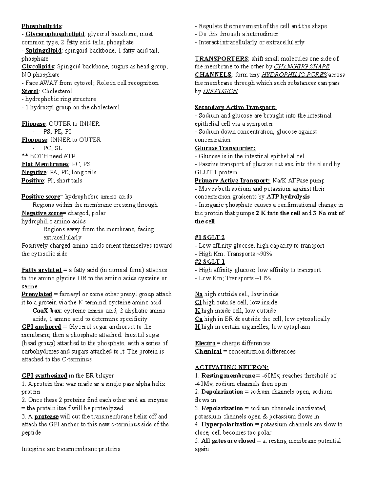 Cell Study Guide Exam3 - Cell Biology - Phospholipids ...