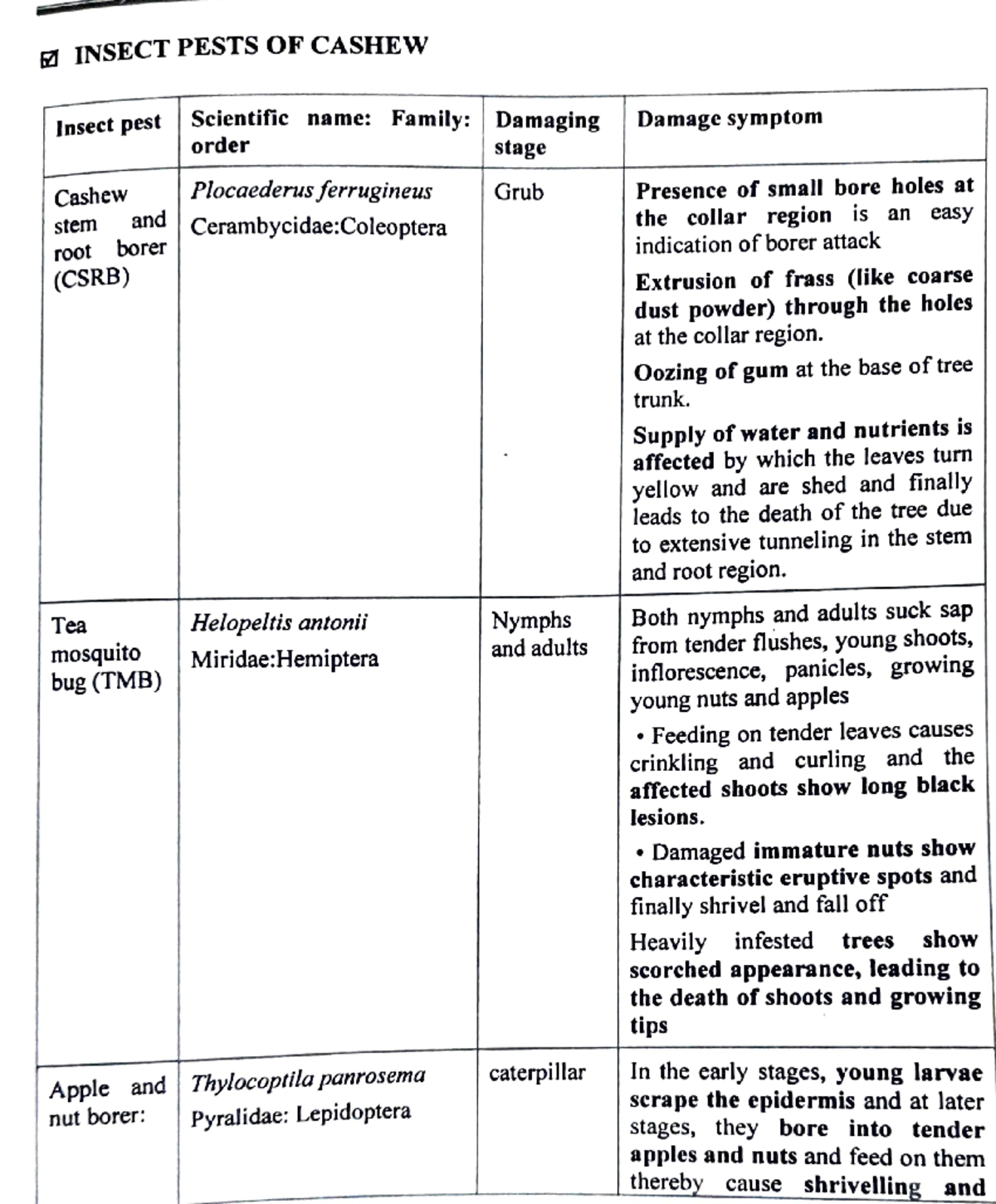 Insect pests of Cashew - INSECT PESTS OF CASHEW Insect pest Scientific ...
