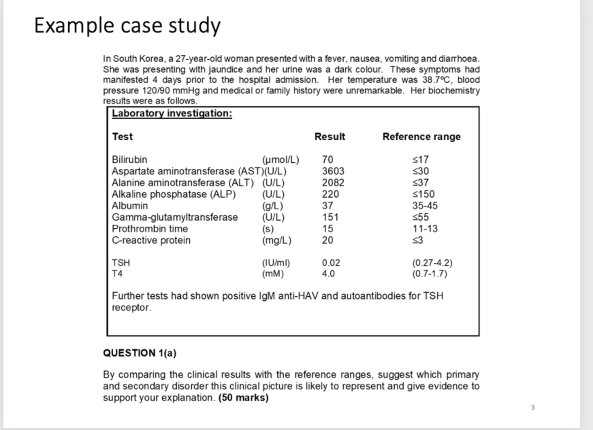 Case Study example - Studocu