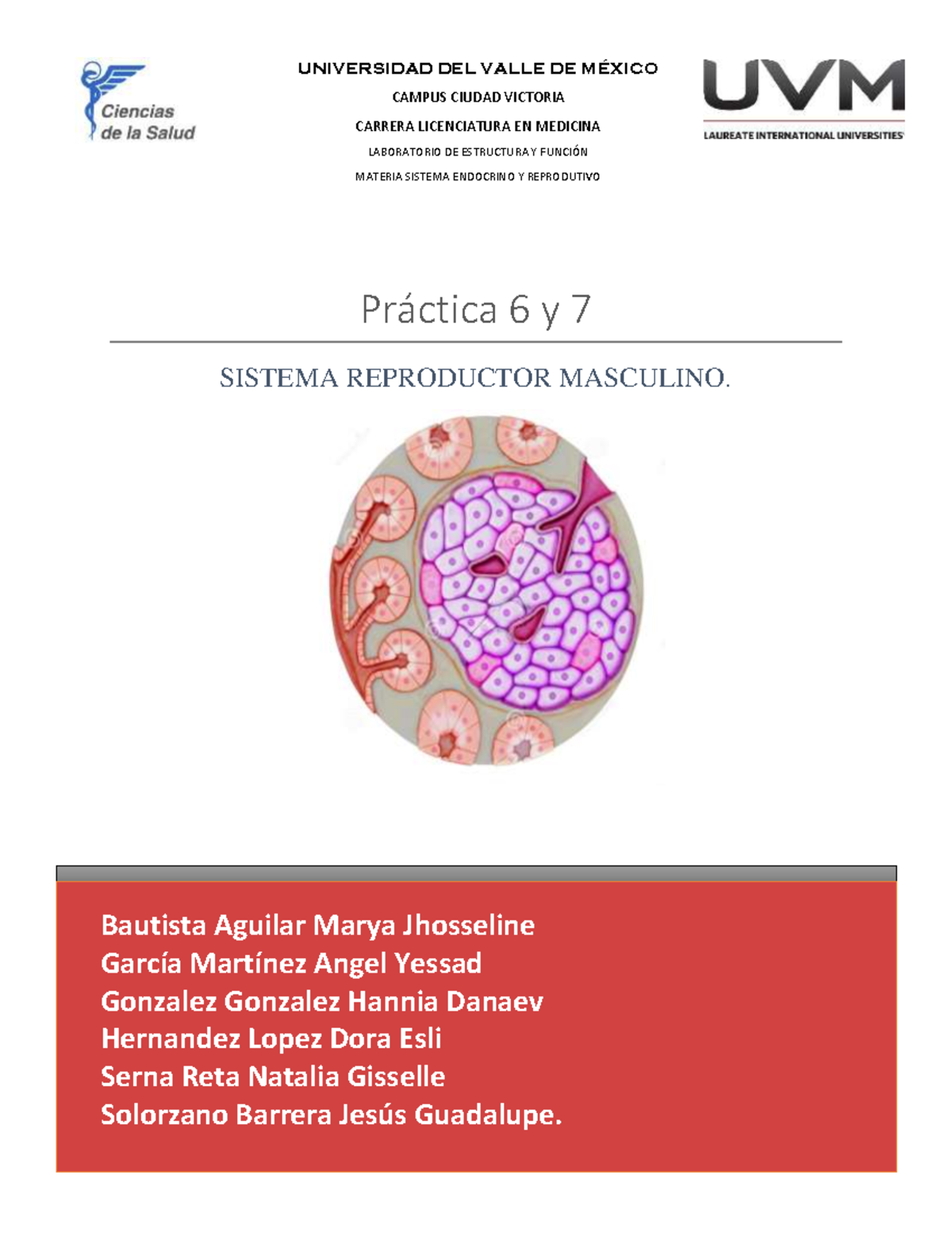 Práctica 6 Y 7 Sistema Endocrino Y Reproductivo Pr·ctica 6 Y 7