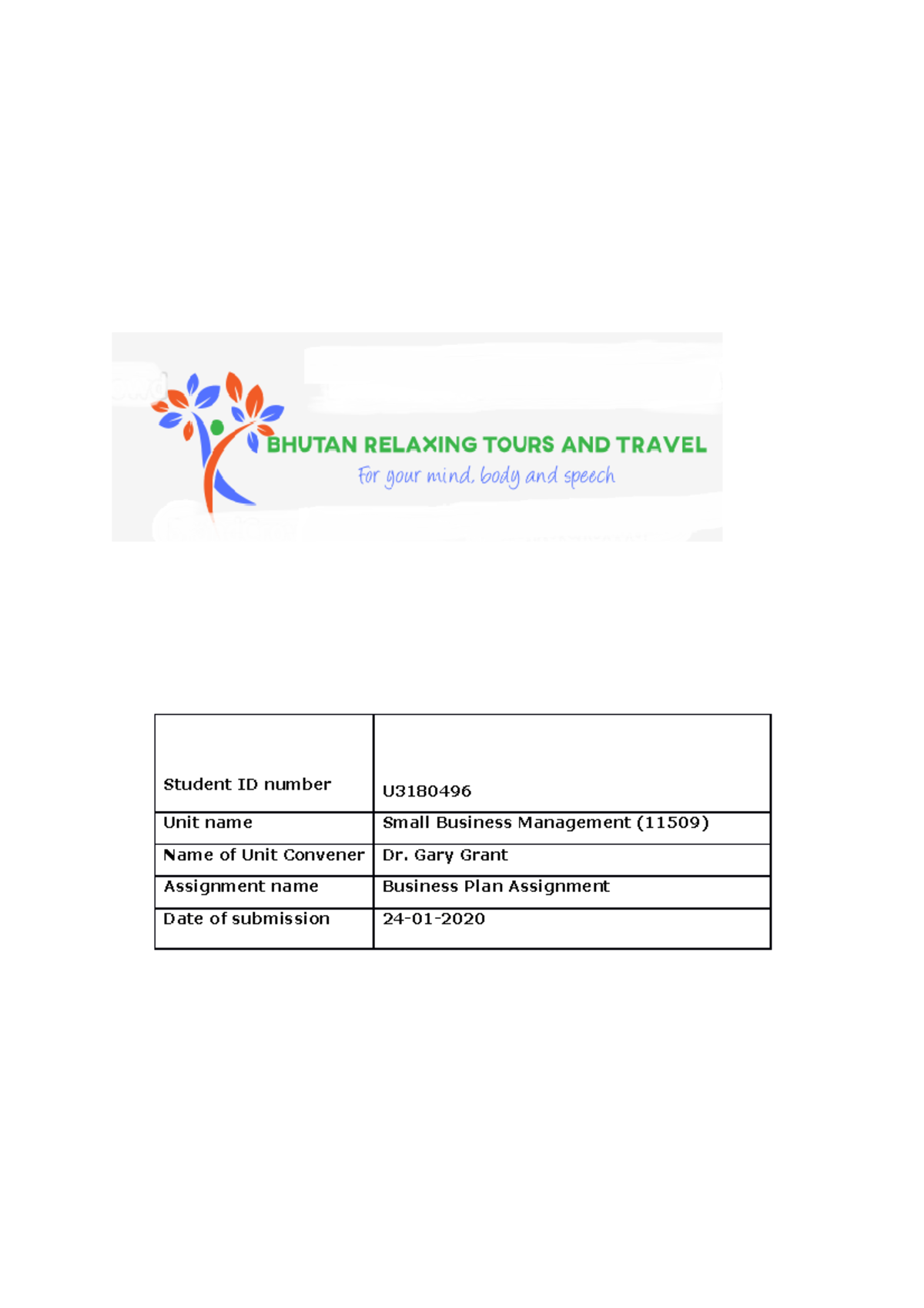 business plan college assignment