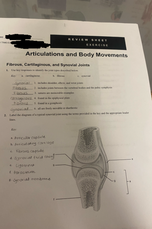 Lab Exam 1 Worksheet - Cells - The Cell: Anatomy and Division Anatomy ...