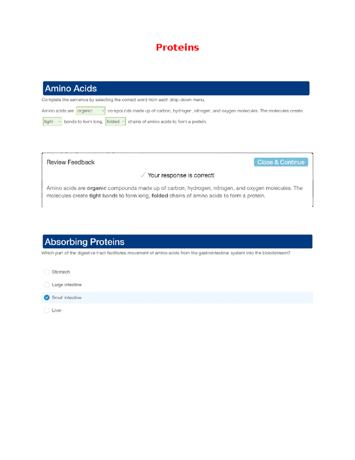 Week 3 - Edapt - Proteins - NR-228 - Proteins Nursing Application ...