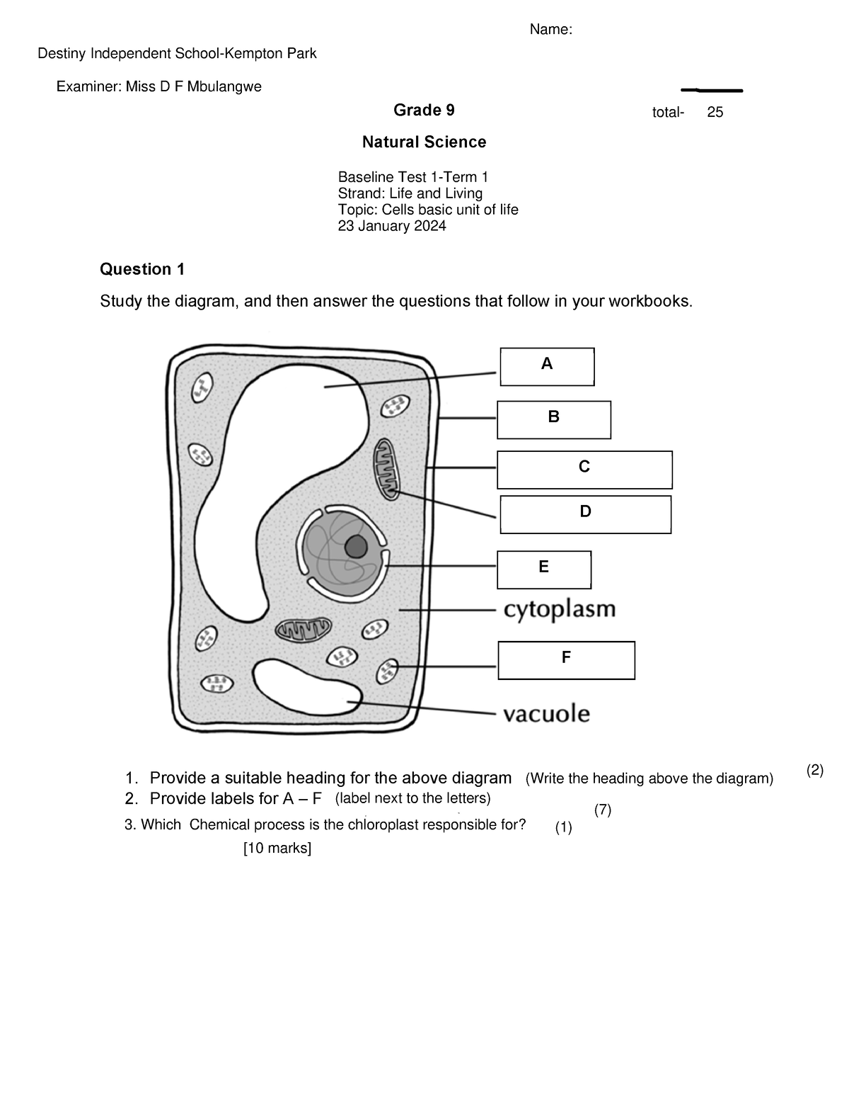 Baseline test 1 Grade 9 - Grade 9 Natural Science Revision Worksheet 3 ...