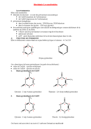 métabolisme de la pyrimidine