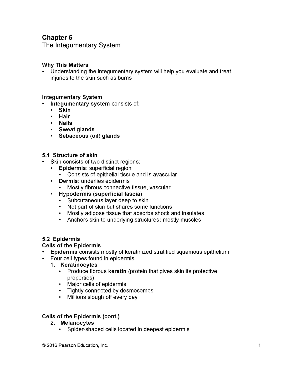 ch-5-the-integumentary-system-lecture-notes-chapter-5-the