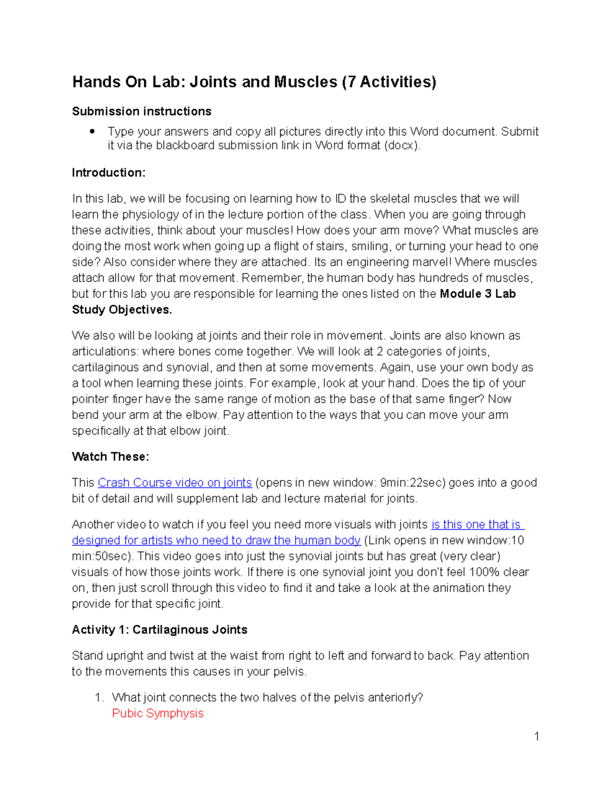 lab6-joints-muscles-hands-on-lab-joints-and-muscles-7-activities