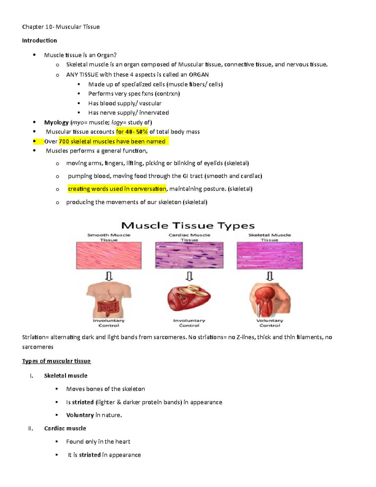 HLSC 120- Chap 10- Muscular Tissue - Chapter 10- Muscular Tissue ...