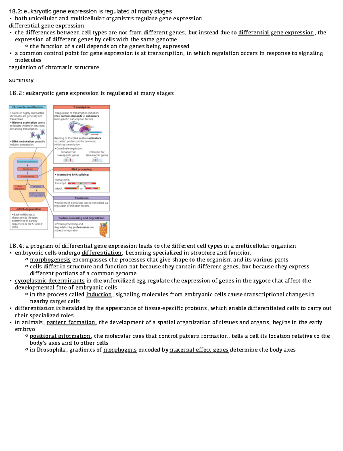 Chapter 11.2 and 11.4 regulation of gene expression - 18: eukaryotic ...