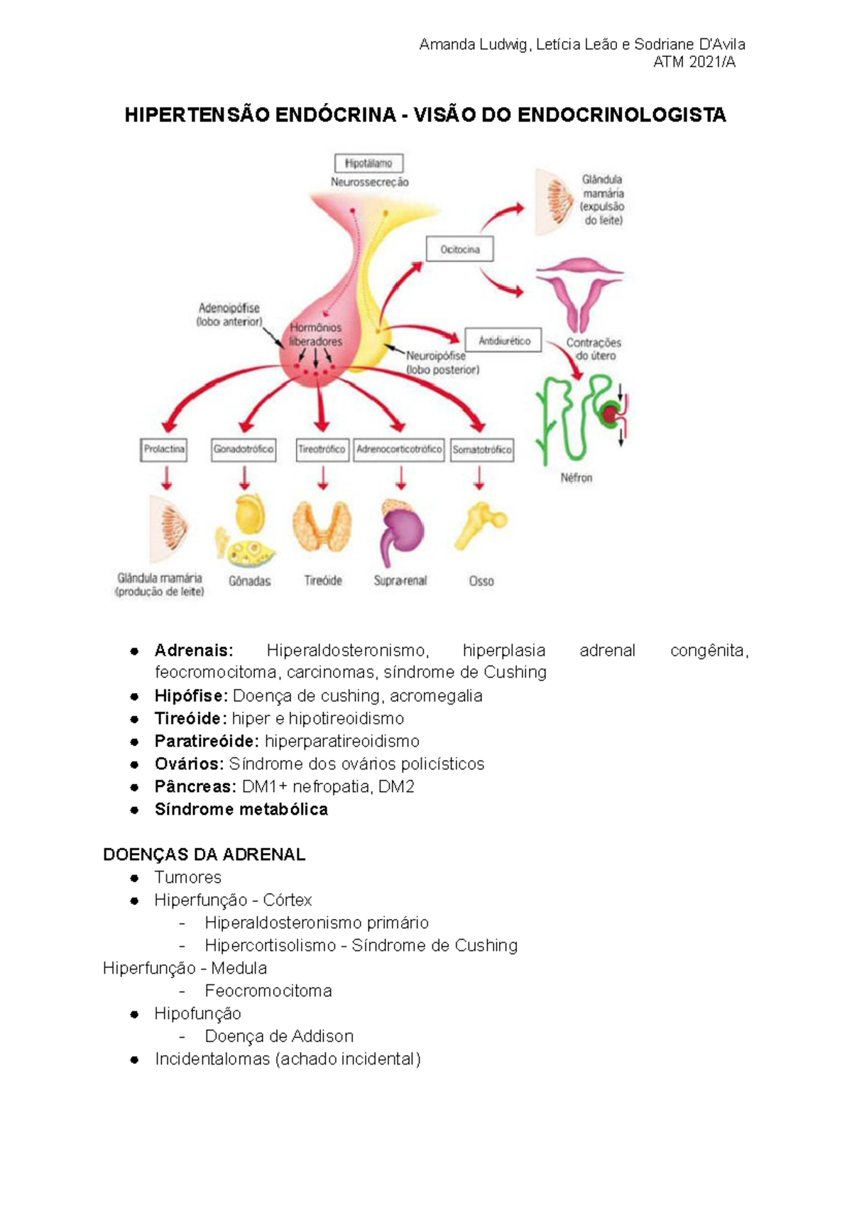Hipertensão Endócrina Atm 2021a HipertensÃo EndÓcrina VisÃo Do Endocrinologista Adrenais 5702