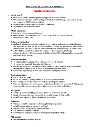 Haem revision notes - 1. Erythropoiesis: Process of Red blood cell ...
