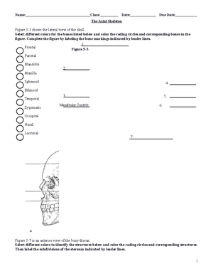 PHSC2302 Anatomy Lab #2 Bone Structure & Axial Skeleton - Anatomy Lab ...