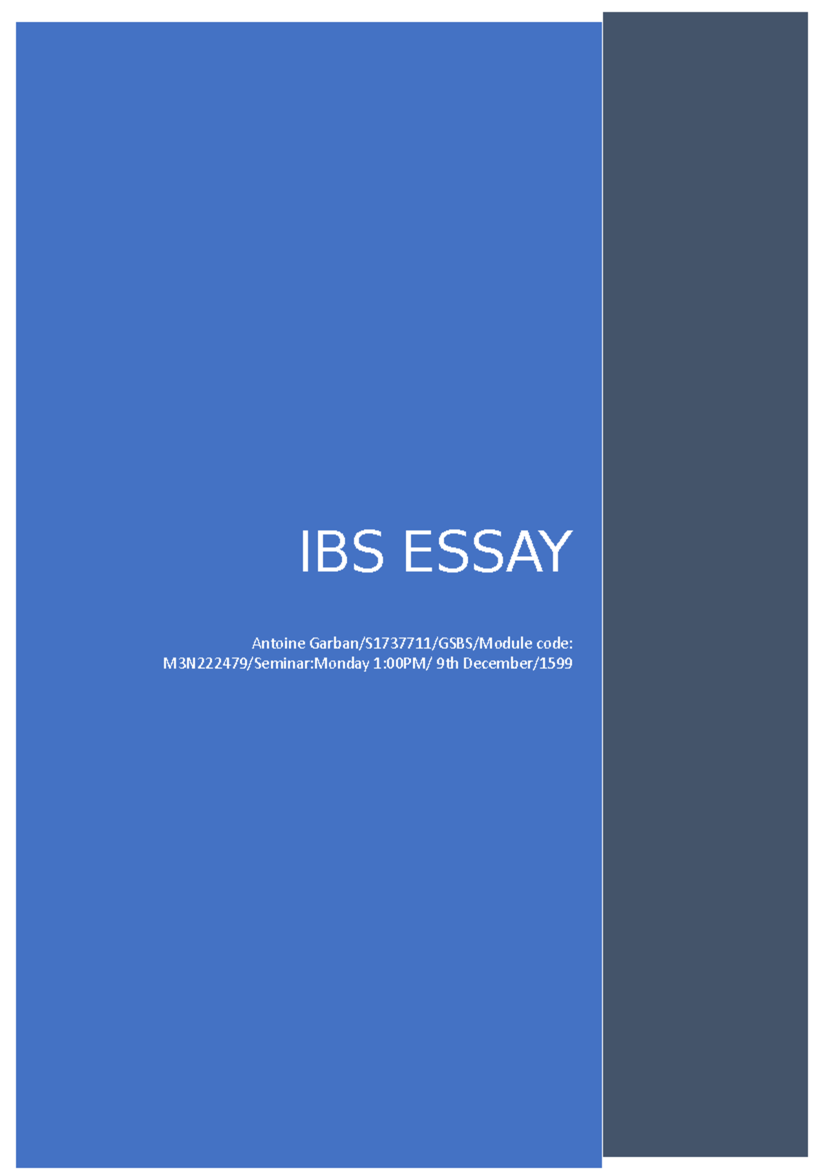 Individual Report - Grade: 58 - IBS ESSAY Antoine Garban/S1737711/GSBS ...