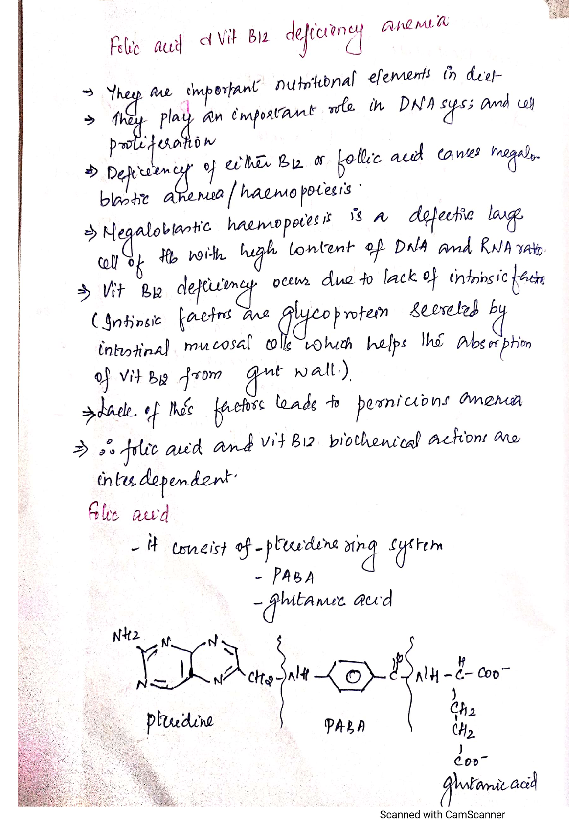 Folic Acid Anemia Pharmacy Studocu   Thumb 1200 1698 