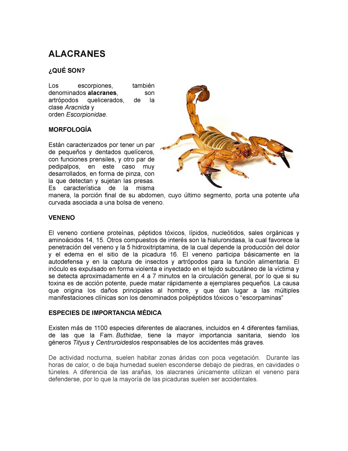 Alacranes Dipolos Y Antenas Sistemas De Propagacion Upp Studocu