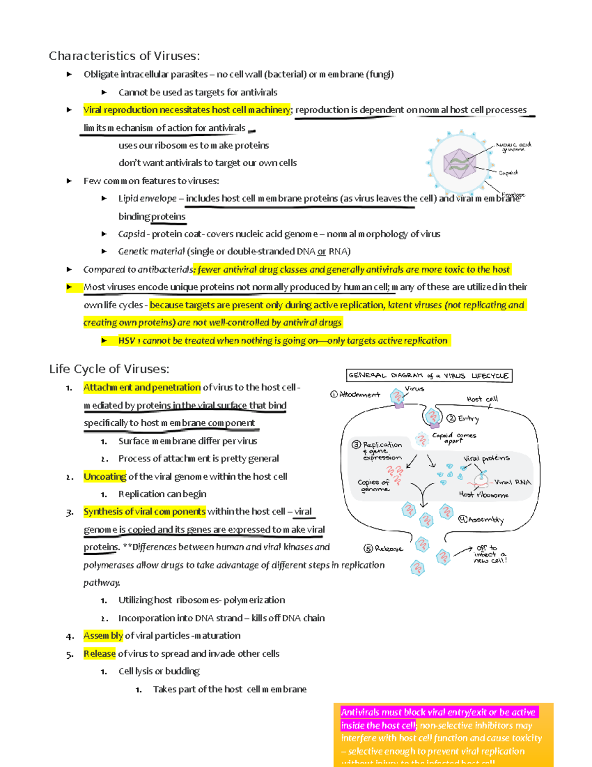 What Is Meant By Viruses Obligate Intracellular Parasites