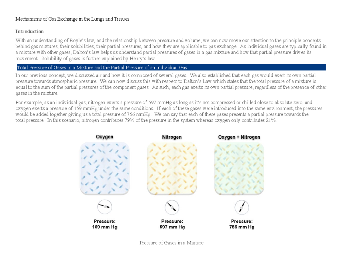 Week 7 Concepts - Edapt - Mechanisms Of Gas Exchange In The Lungs And ...