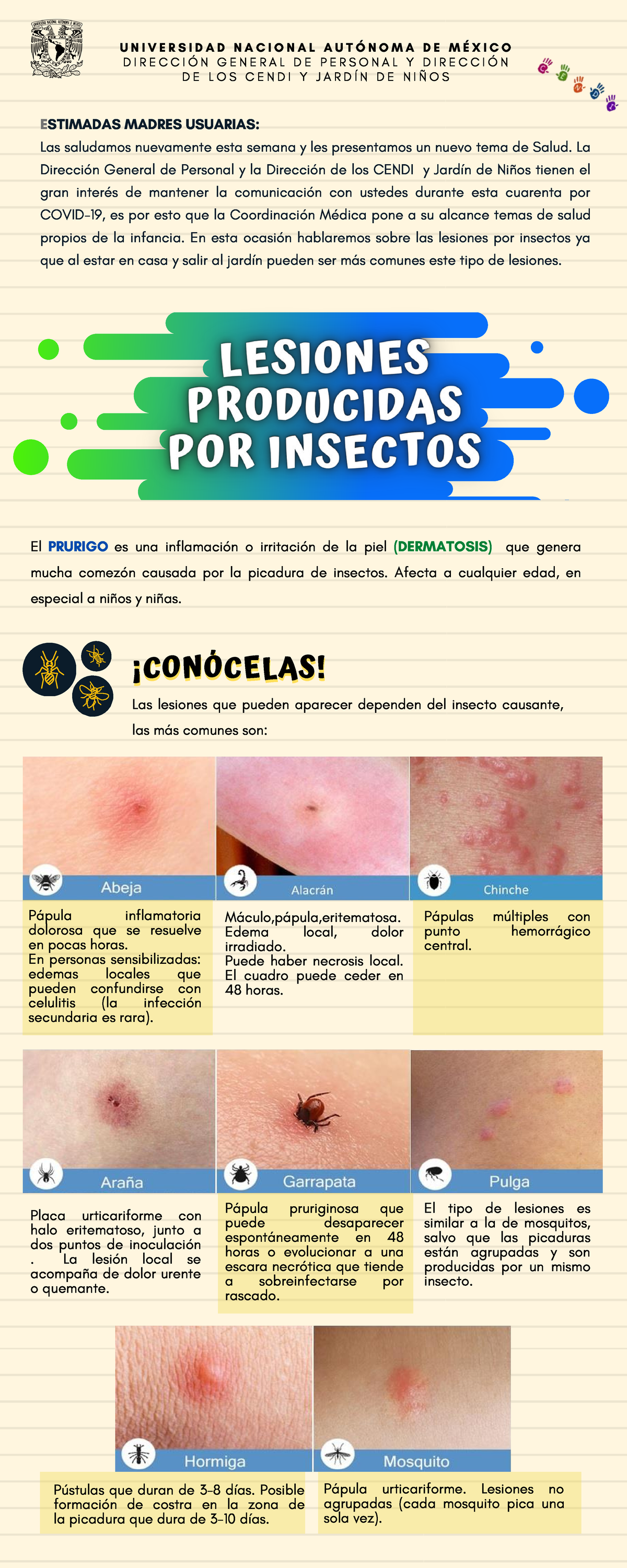 Lesiones producidas por insectos opt - El PRURIGO es una inflamación o ...