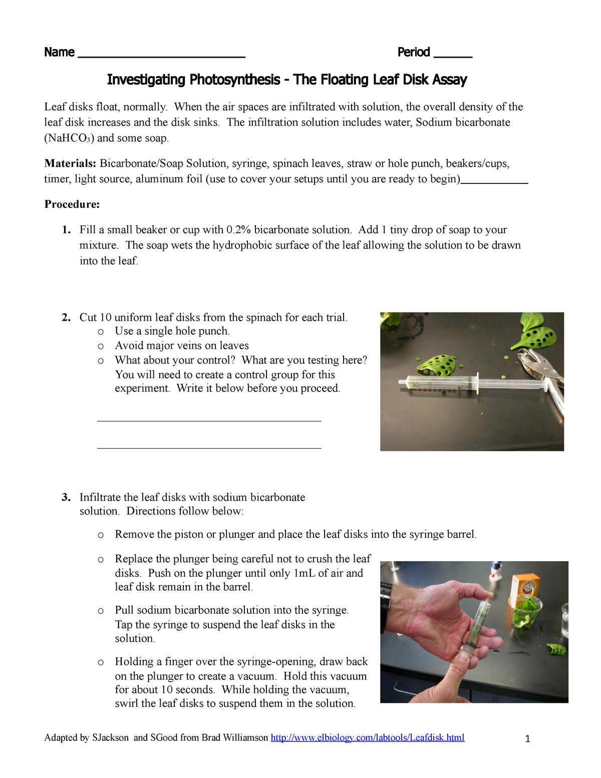 analysis of effect of herbicide on photosynthesis lab report