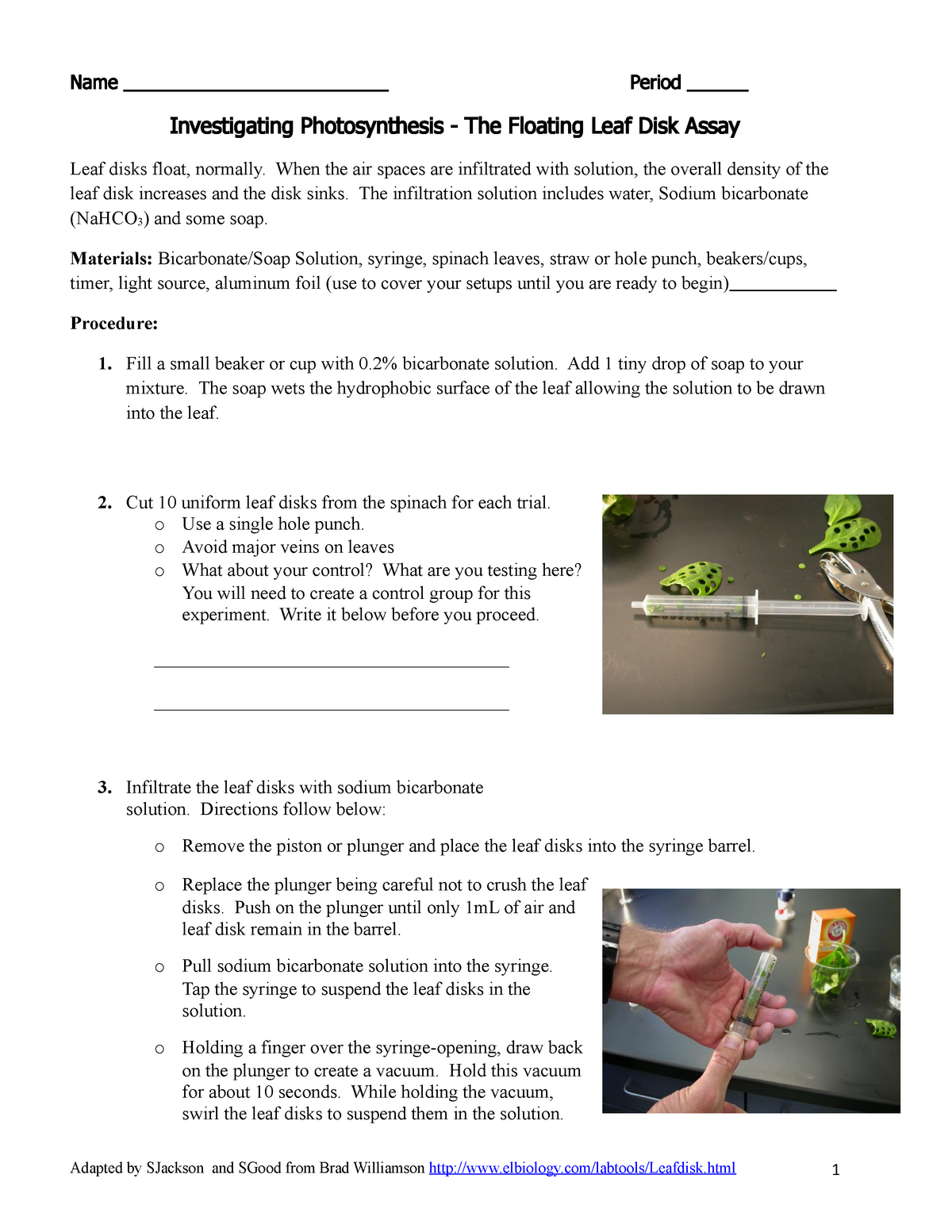 Photosynthesis Leaf Disk Lab 2020 2021 Name 