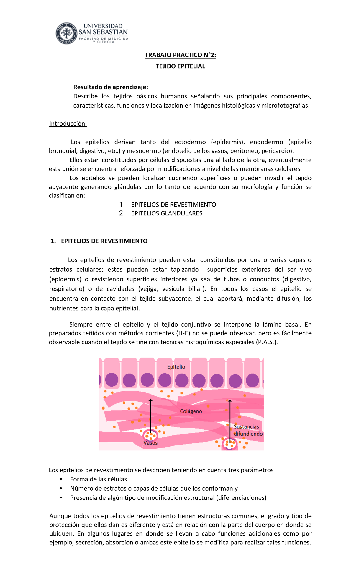 Histologia 2 Lab - Laboratorio - TRABAJO PRACTICO N°2: TEJIDO EPITELIAL ...