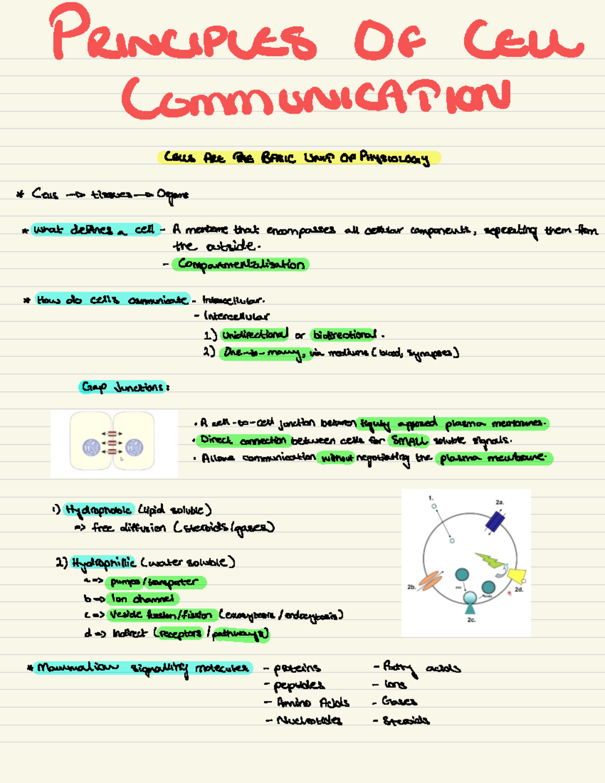 L1 - Cell Communication - PRINCIPLES OF CELL COMMUNICATION CELLS ARE ...