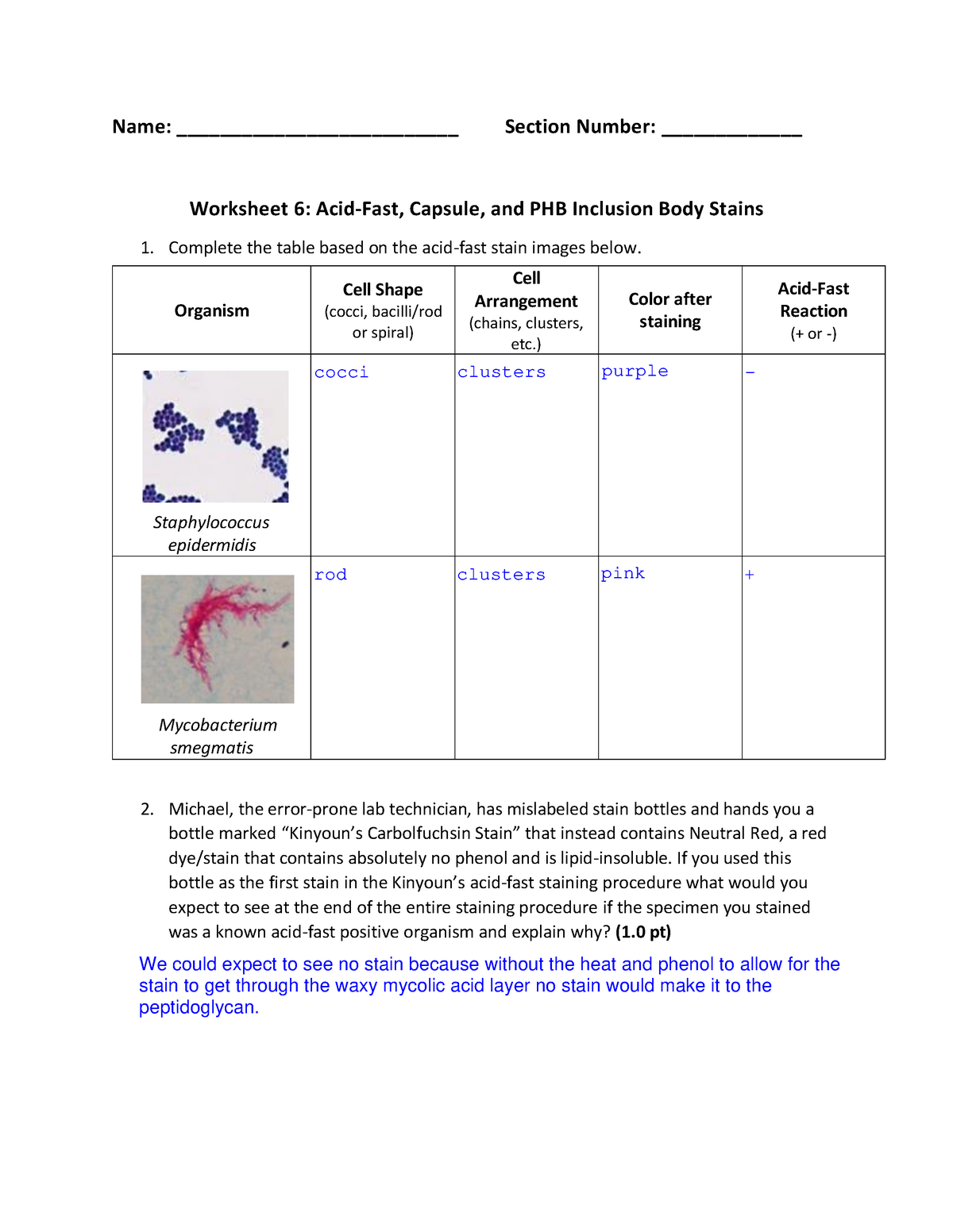 Mbio Lab Worksheet 6 Warning Tt Undefined Function 32 Warning Tt Undefined Function 32 9283