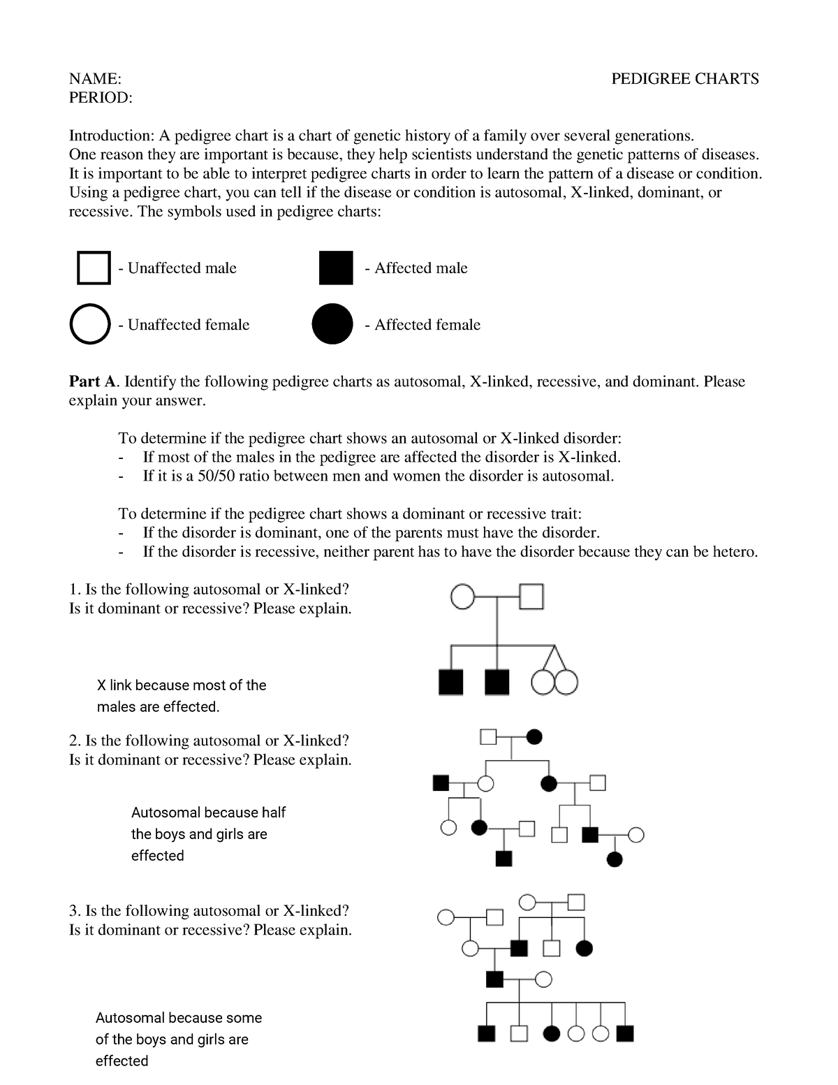 Kami Export - Enrique Trujillo - Pedigree Charts (Classwork) - NAME ...