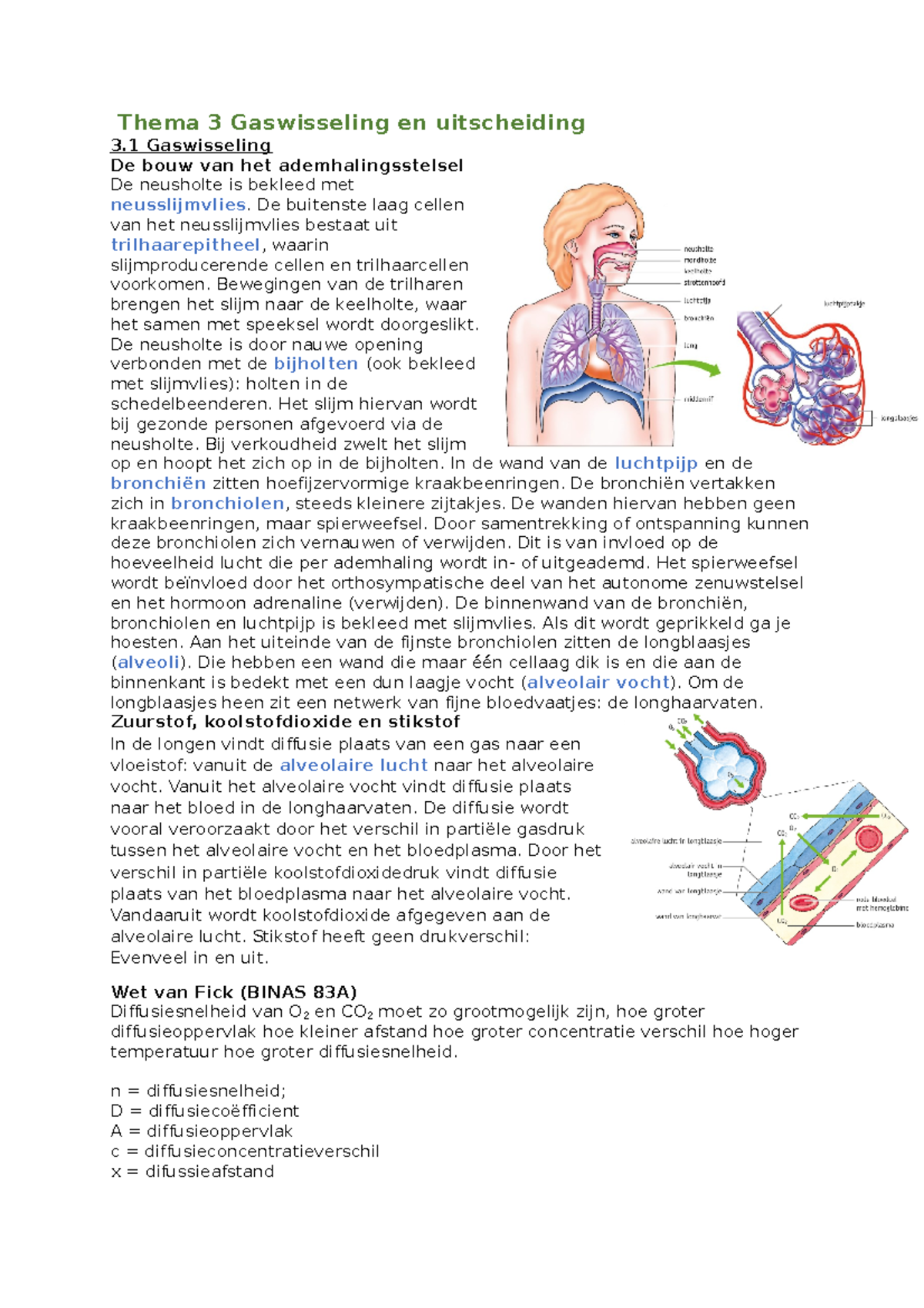 Thema 3 Gaswisseling En Uitscheiding Janne - Thema 3 Gaswisseling En ...