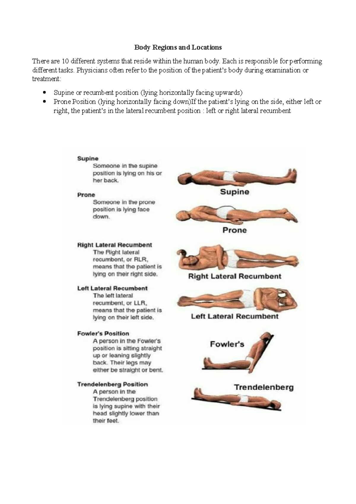 Different Patient Positioning - Different Positionings Supine Position  /Dorsal/Horizontal Recumbent: - Studocu