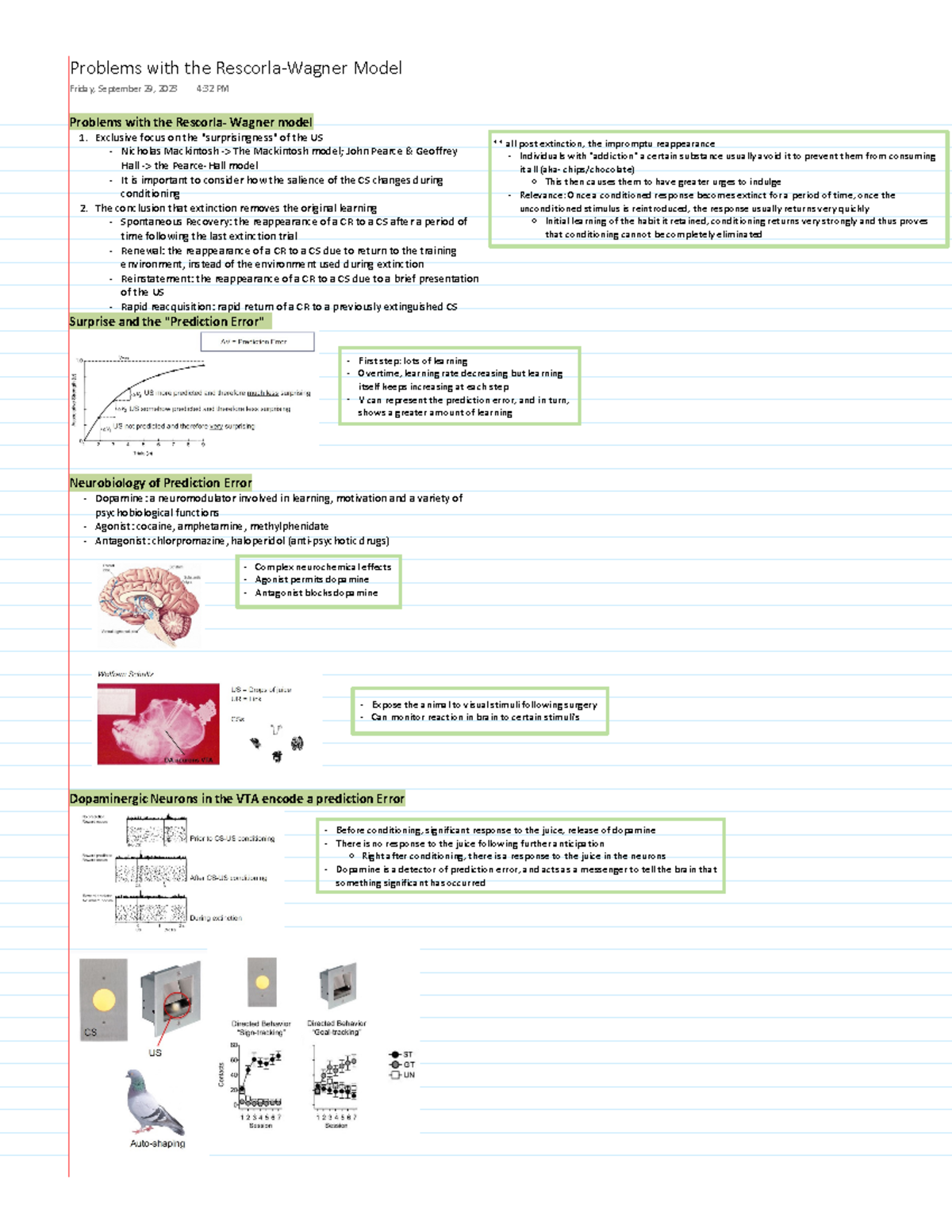 Lecture 8 notes - Problems with the Rescorla- Wagner model Exclusive ...