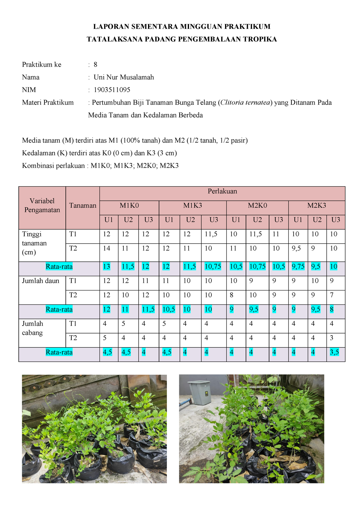 1903511095 Uni Nur Musalamah Kelas B Laporan Praktikum Sementara Minggu ...