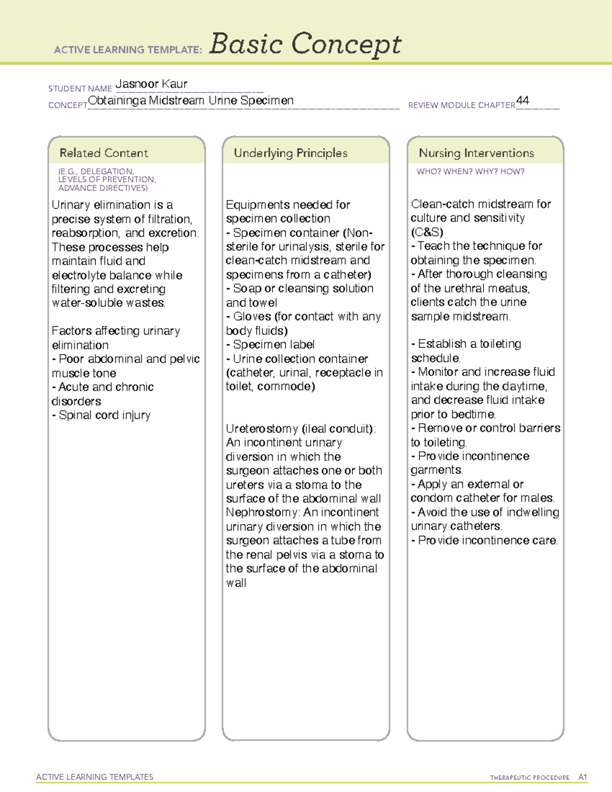 Active Learning Template Basic Concept-7 copy 2 - VN201 - Studocu