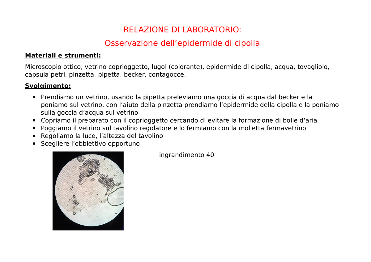 Relazione DI Laboratorio epidermide cipolla - RELAZIONE DI LABORATORIO:  Osservazione dell'epidermide - Studocu