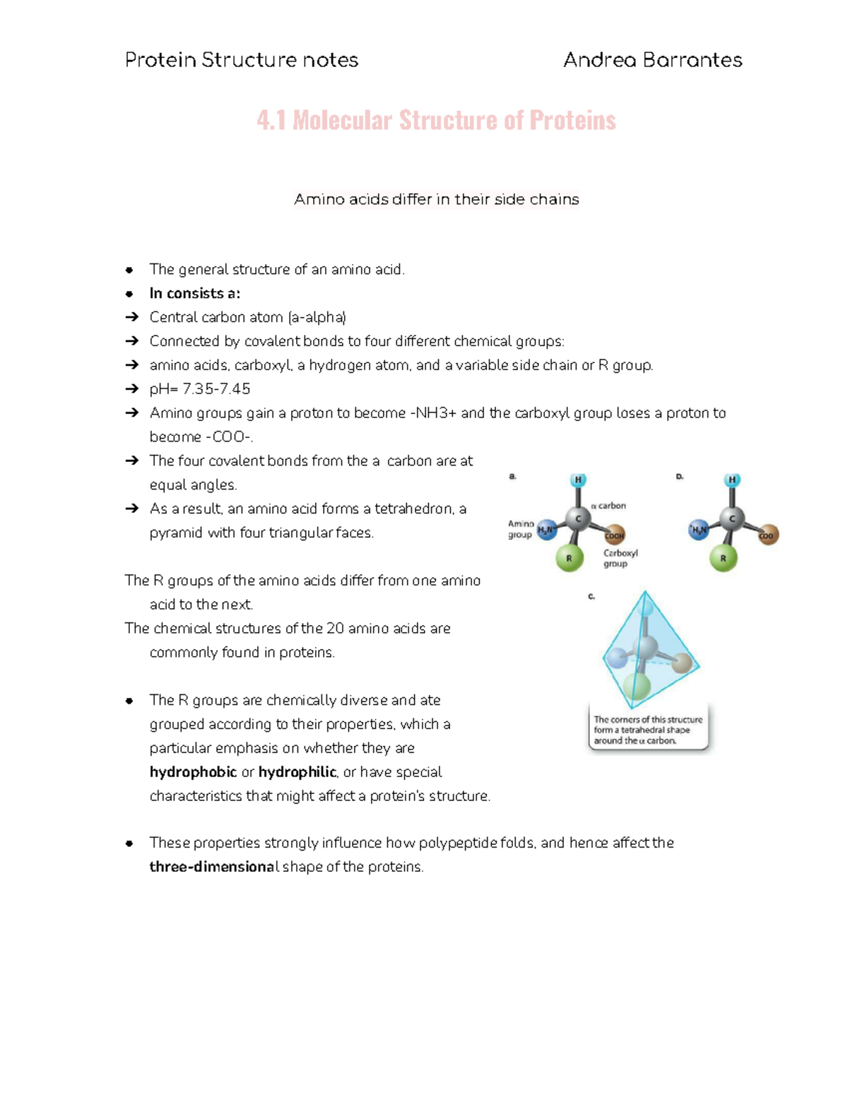 L4 Protein Structure notesChapter 4 BIO1010 Ontario Tech