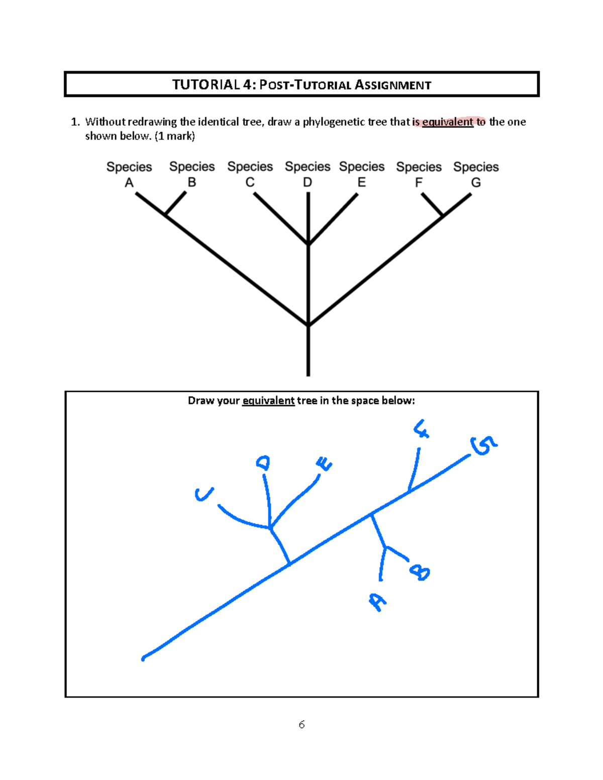 Tutorial 4 Phylogenetic Trees S23 - BIO1M03 - McMaster - Studocu