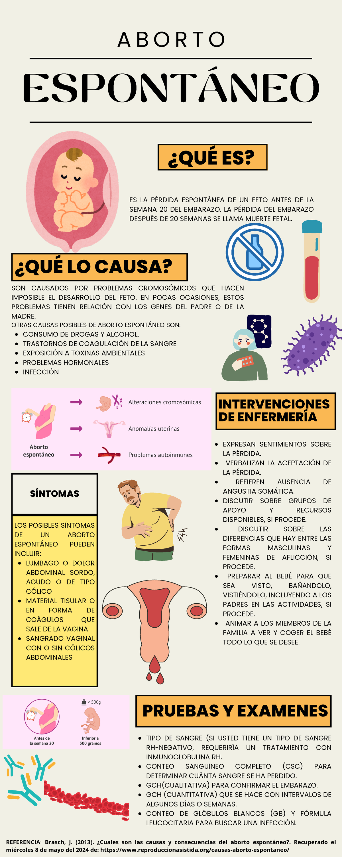Aborto espontáneo - Tarea de 10 - LOS POSIBLES SÍNTOMAS DE UN ABORTO ...
