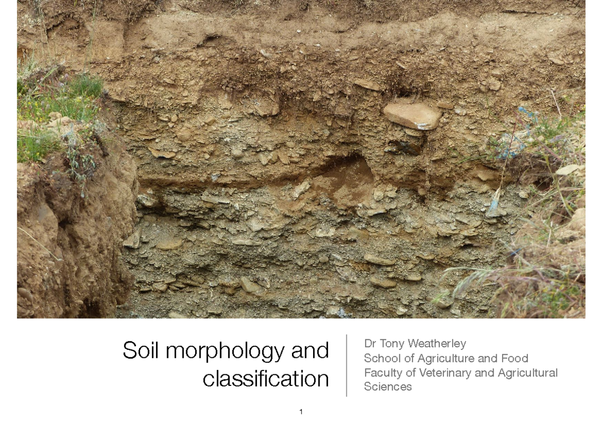 6agri2003 8 L6 - Lecture Notes 6 - Soil Morphology And Classification ...