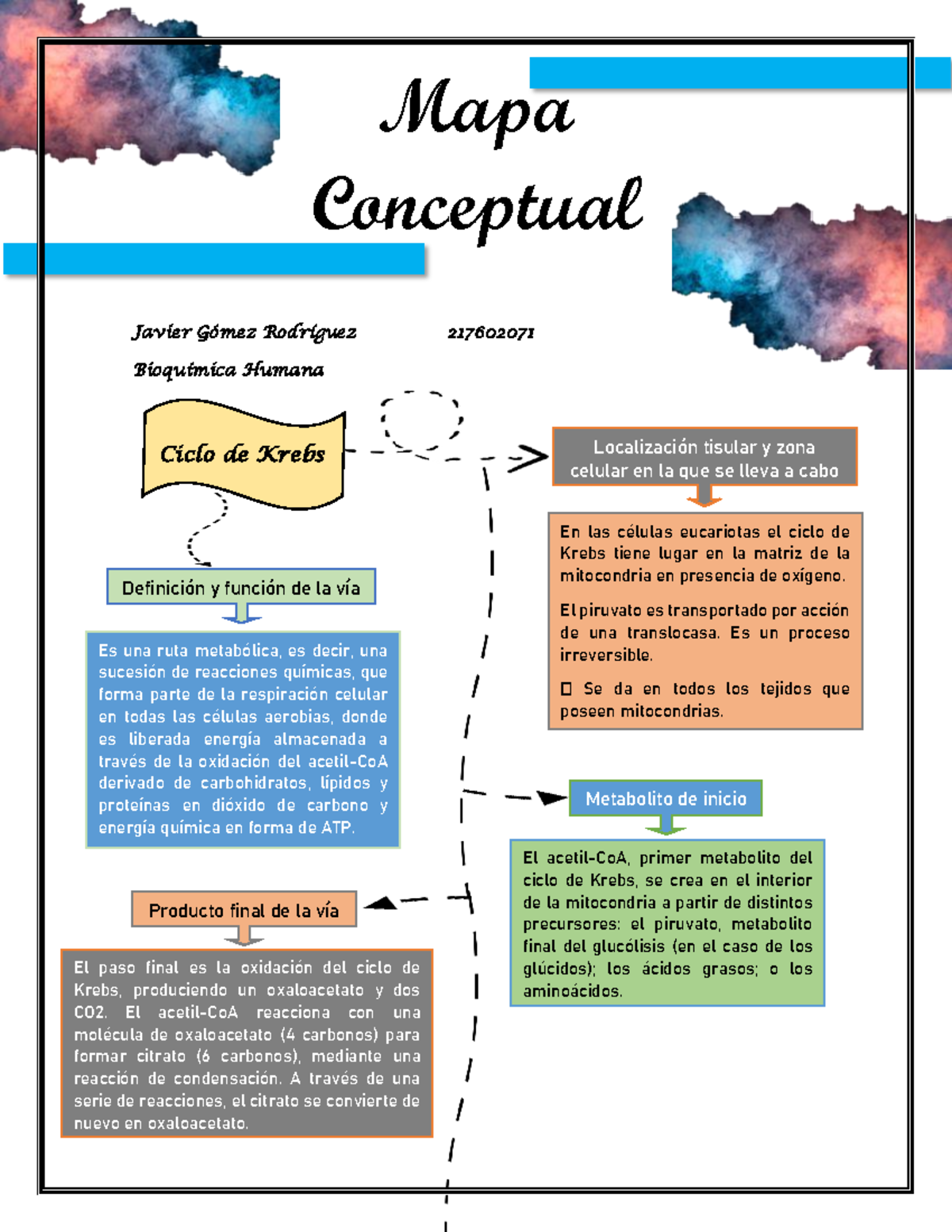 Mapa Conceptual Bioquimica Krebs Javier Gómez Rodríguez 217602071