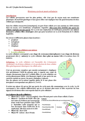 UE 2.1 S1 Capsule Le Cytoplasme - Accompagnement Capsule UE 2 Biologie ...