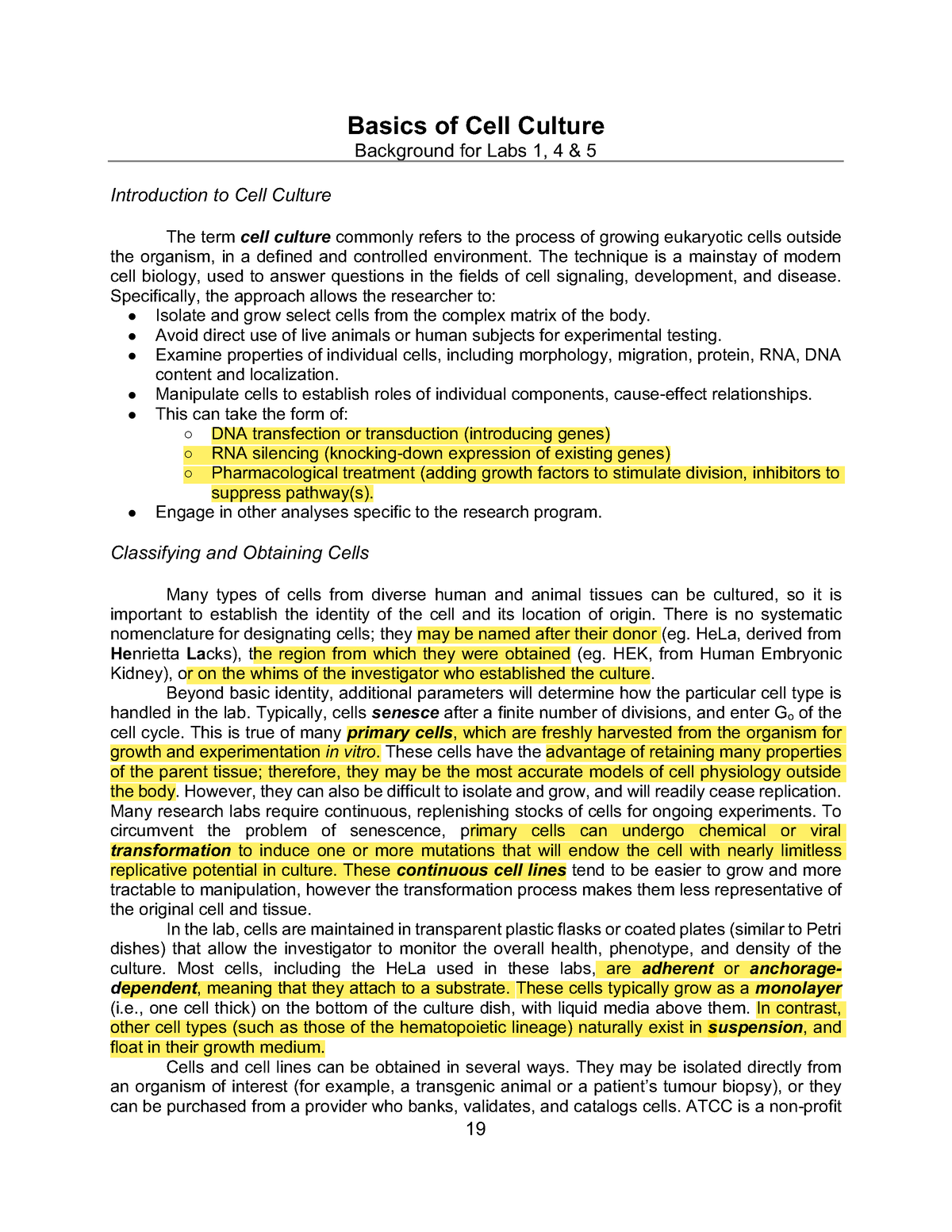 cell culture research paper