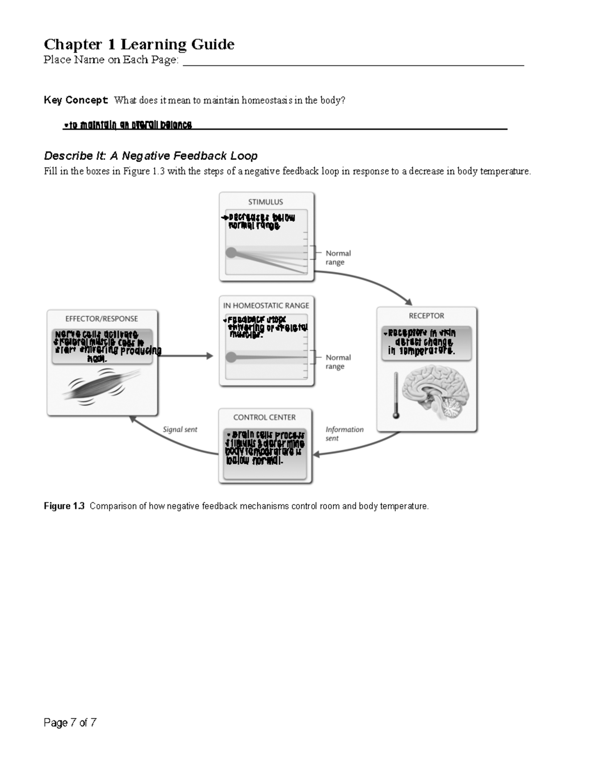 Chapter 1 pg 7 - Chapter 1 Learning Guide Place Name on Each Page ...