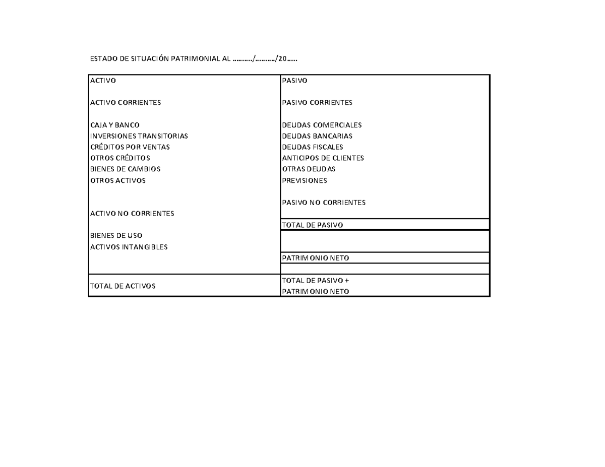 plantilla de cont - ESTADO DE SITUACIÓN PATRIMONIAL AL ...