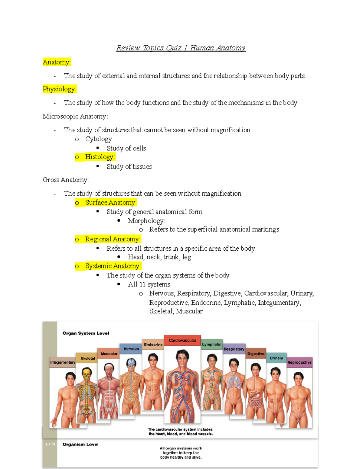 Review Topics Quiz 1 Human Anatomy Review Topics Quiz 1 Human Anatomy Anatomy The study of