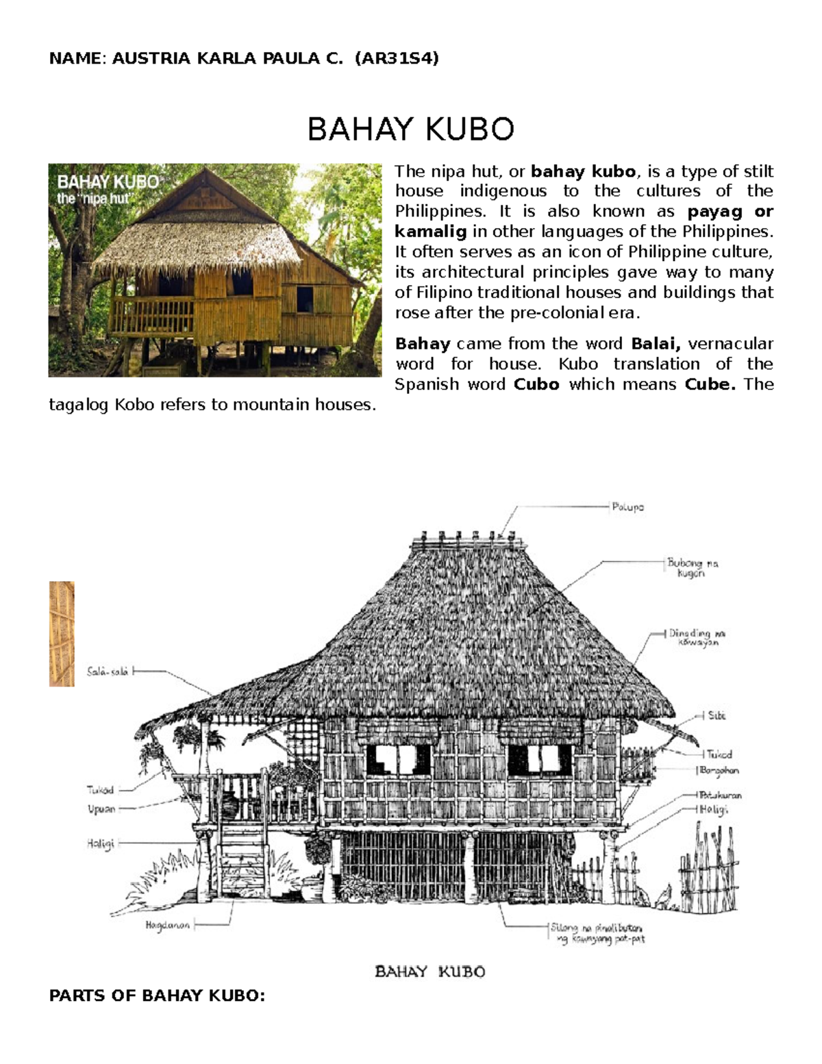 Mangyan Traditional House Description