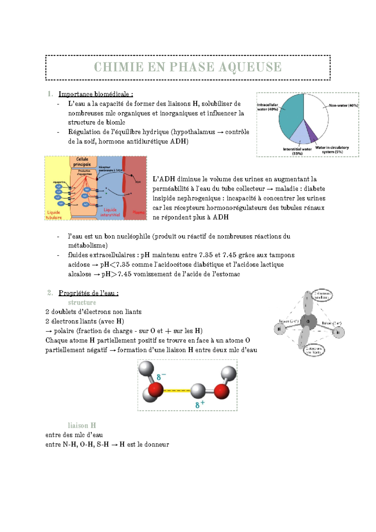 Chimie en phase aqueuse - ʤ. ImpoƅtanĆe ąiomédiĆale : - L’eau a la ...